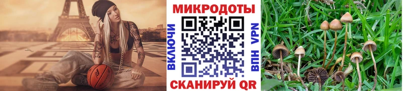 Псилоцибиновые грибы ЛСД  Купить  Городец 